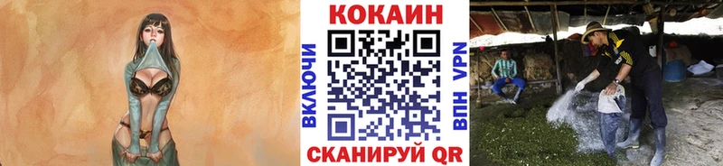 как найти наркотики  Нижняя Салда  КОКАИН FishScale 