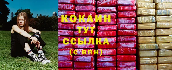 прущие грибы Алзамай