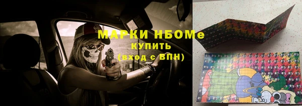 стафф Алексин