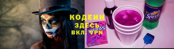 прущие грибы Алзамай