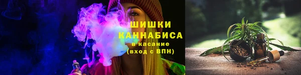 прущие грибы Алзамай