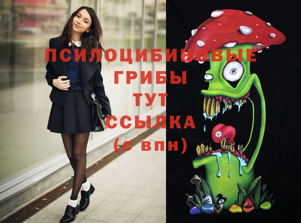 стафф Алексин