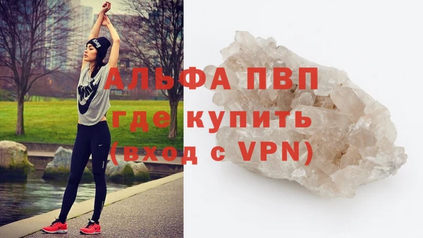 стафф Алексин