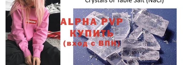 стафф Алексин