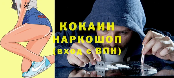 прущие грибы Алзамай