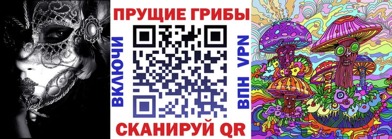 Псилоцибиновые грибы Psilocybe  кракен вход  Нижняя Салда  хочу  